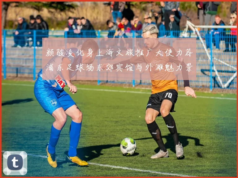 颜骏凌化身上海文旅推广大使力荐浦东足球场东郊宾馆与外滩魅力景点