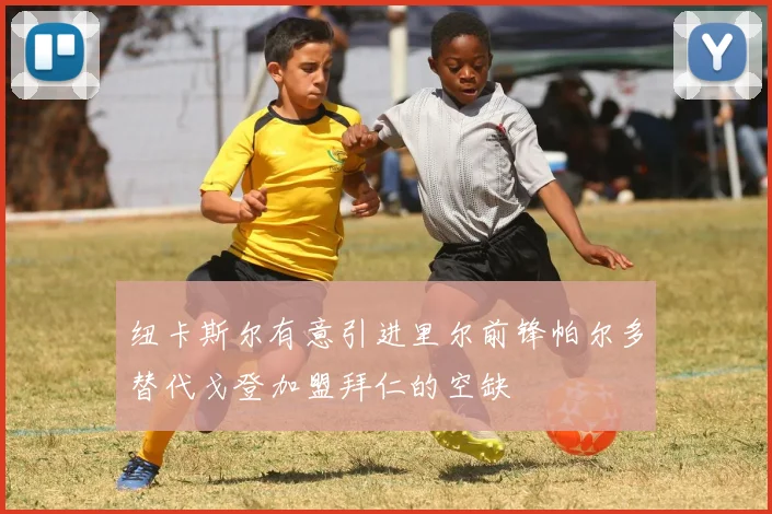 纽卡斯尔有意引进里尔前锋帕尔多替代戈登加盟拜仁的空缺